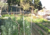 Sòl urbà en venda a la España, Abrera, ref.: TR114228 foto