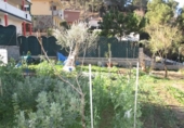 Sòl urbà en venda a la España, Abrera, ref.: TR114228 foto