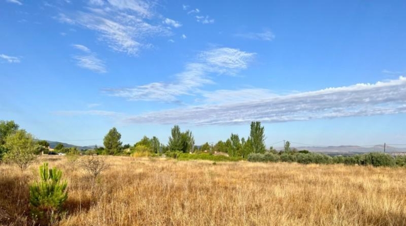 Alicante - Villena - 10920m2