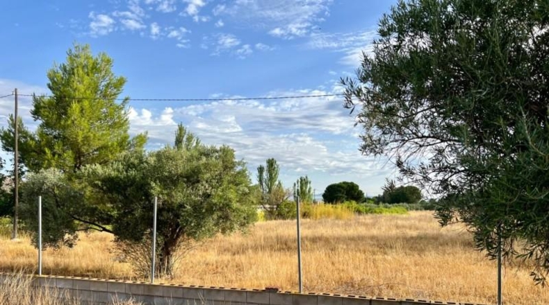Alicante - Villena - 10920m2
