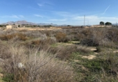 Non-developable land for sale on España, Aspe, ref: TR362356 photo