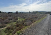 Non-developable land for sale on España, Aspe, ref: TR362356 photo