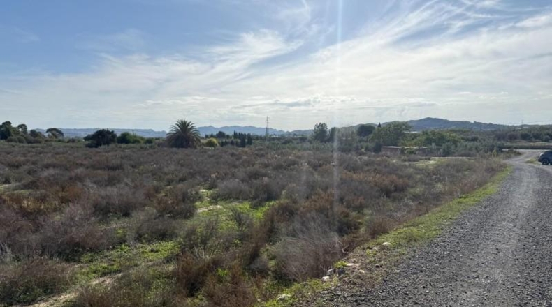Alicante - Aspe - 10712m2