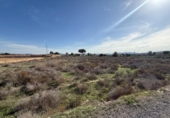 Non-developable land for sale on España, Aspe, ref: TR362356 photo