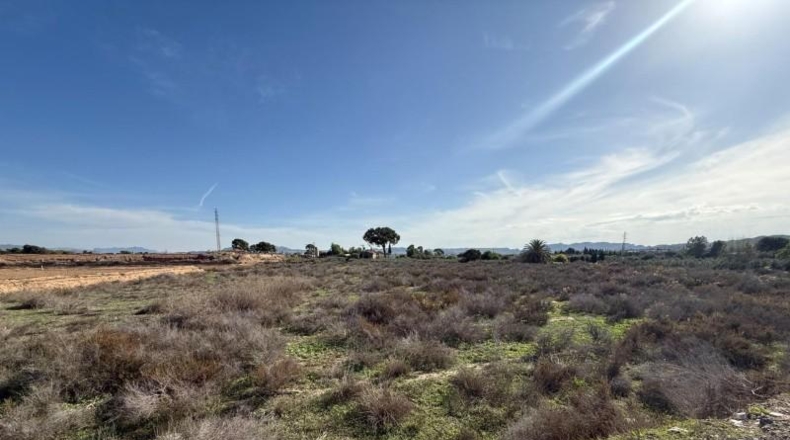 Alicante - Aspe - 10712m2