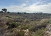 Non-developable land for sale on España, Aspe, ref: TR362356 photo