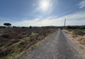Non-developable land for sale on España, Aspe, ref: TR362356 photo