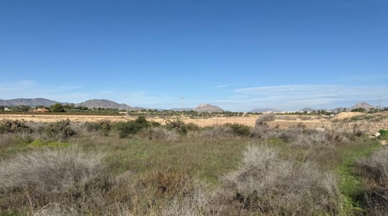 Alicante - Aspe - 10712m2