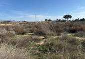 Non-developable land for sale on España, Aspe, ref: TR362356 photo