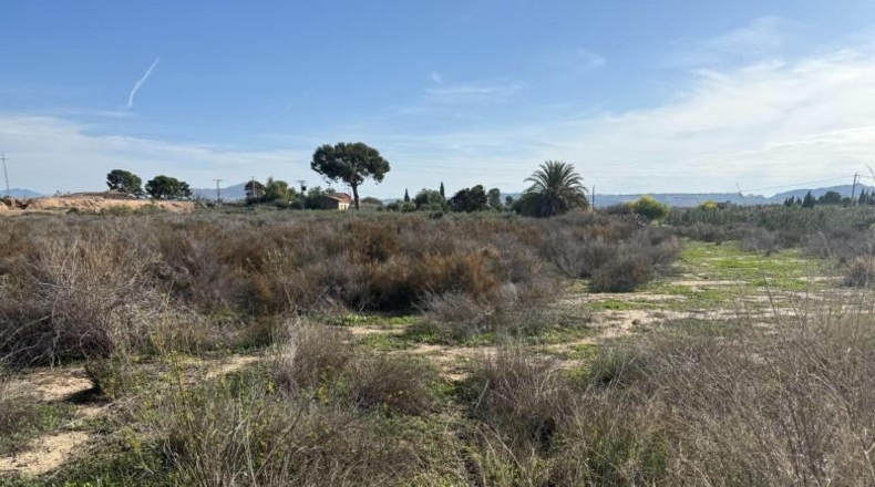 Alicante - Aspe - 10712m2