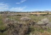 Non-developable land for sale on España, Aspe, ref: TR362356 photo