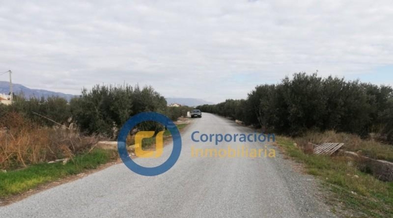 Múrcia - Puerto Lumbreras - 7000m2