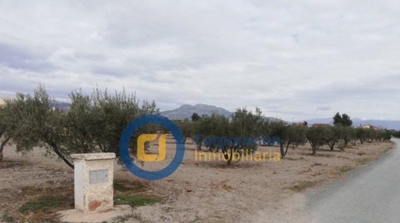 Múrcia - Puerto Lumbreras - 7000m2
