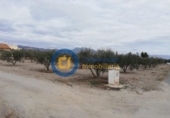 Terreny no urbanitzable en venda a la España, Puerto Lumbreras, ref.: TR125162 foto