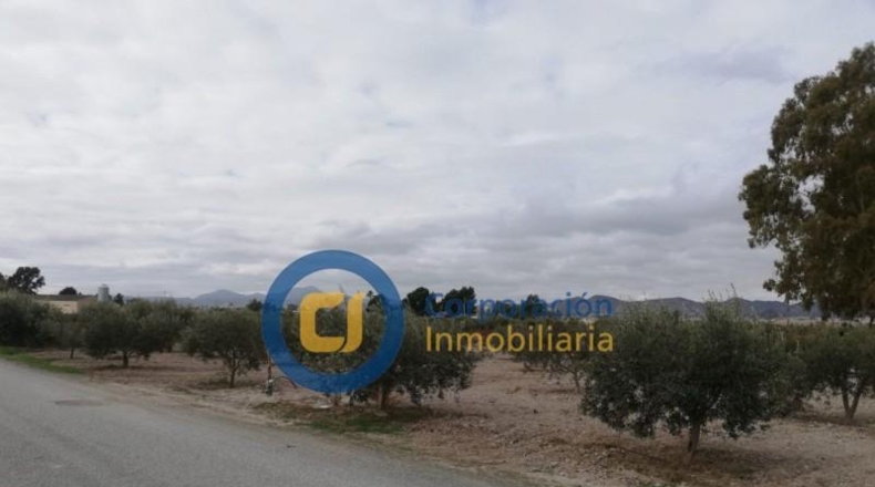 Múrcia - Puerto Lumbreras - 7000m2