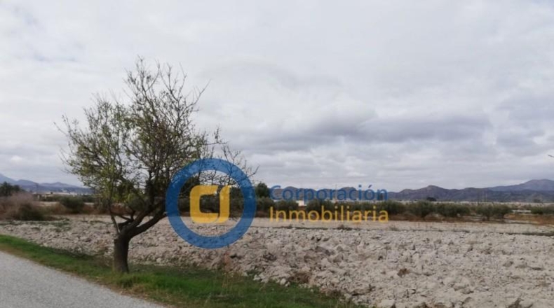 Múrcia - Puerto Lumbreras - 7000m2