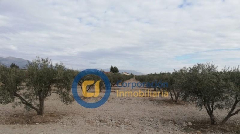 Múrcia - Puerto Lumbreras - 7000m2