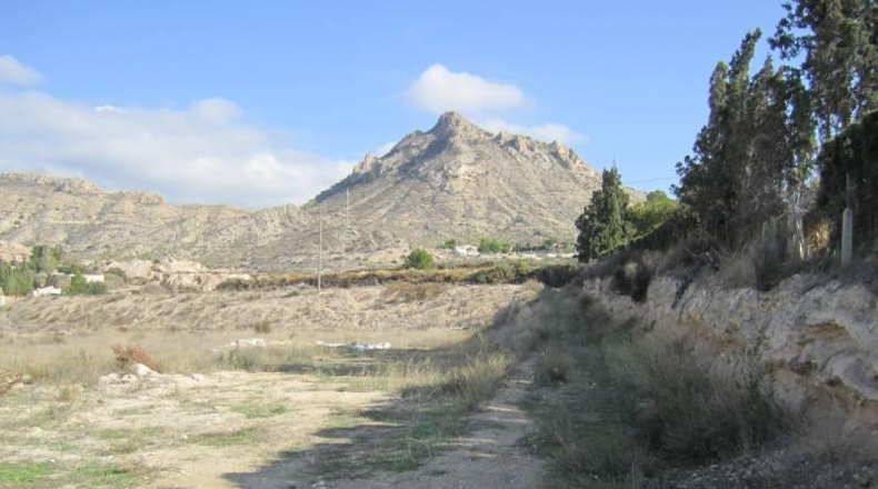 Alicante - Novelda - 9000m2