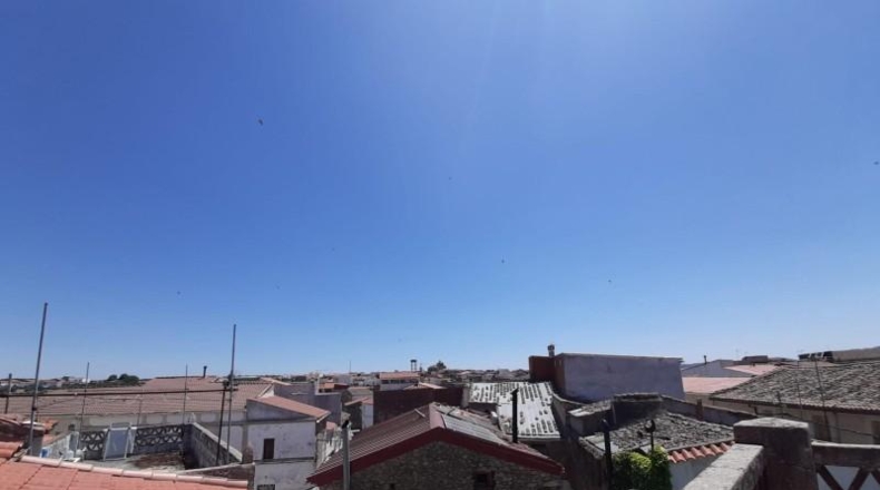 Cáceres - Valdefuentes - 390m2