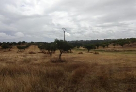 Garrovillas de Alconétar 61900&nbsp;m²