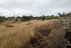Garrovillas de Alconétar 61900&nbsp;m²