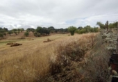 Terreny no urbanitzable en venda a la España, Garrovillas de Alconétar, ref.: TR131628 foto