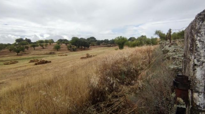 Caceres - Garrovillas de Alconétar - 61900m2