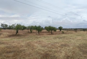 Garrovillas de Alconétar 61900&nbsp;m²