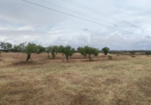 Terreny no urbanitzable en venda a la España, Garrovillas de Alconétar, ref.: TR131628 foto