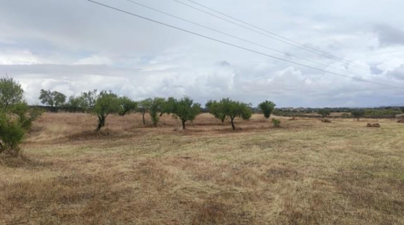 Caceres - Garrovillas de Alconétar - 61900m2