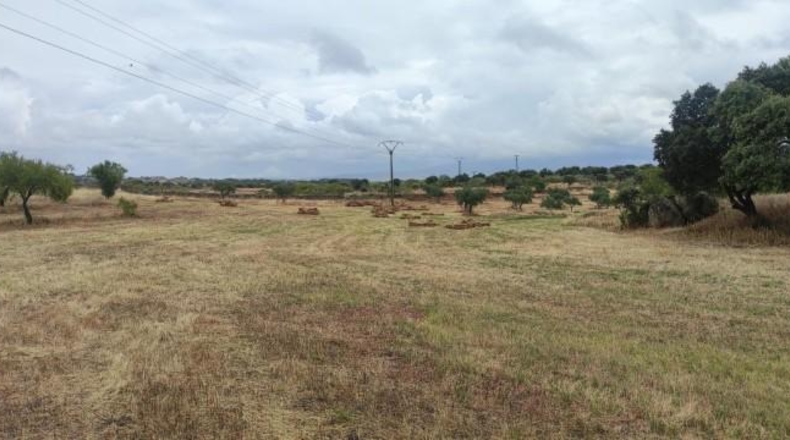 Caceres - Garrovillas de Alconétar - 61900m2