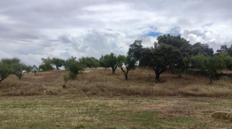 Caceres - Garrovillas de Alconétar - 61900m2