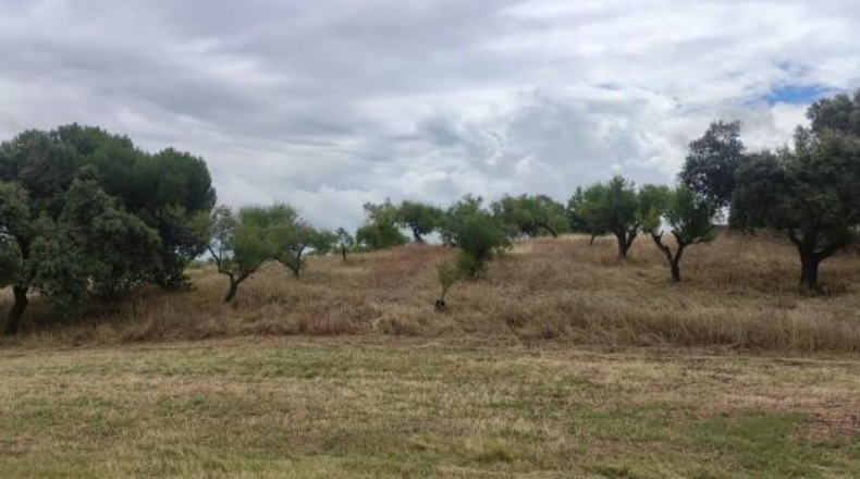 Caceres - Garrovillas de Alconétar - 61900m2