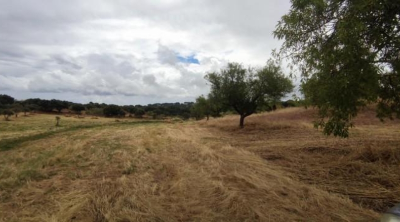 Caceres - Garrovillas de Alconétar - 61900m2