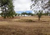 Terreny no urbanitzable en venda a la España, Garrovillas de Alconétar, ref.: TR131628 foto
