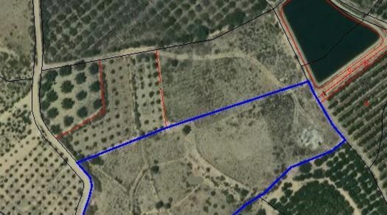 Alicante - Albatera - 11261m2