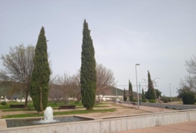 Foto 12