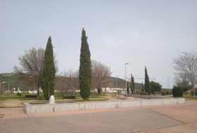 Foto 11