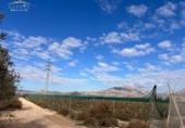 Terreny no urbanitzable en venda a la España, Montfort, ref.: TR177450 foto