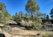 Terreny no urbanitzable en venda a la España, la Romana, ref.: TR381514 foto