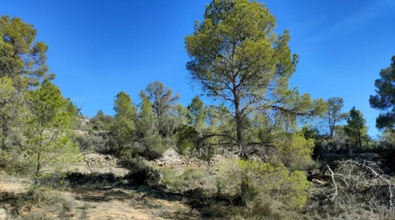 Alicante - la Romana - 33144m2