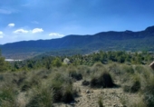 Terreny no urbanitzable en venda a la España, la Romana, ref.: TR381514 foto