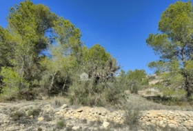 la Romana 33144&nbsp;m² 