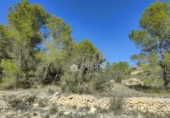 Terreny no urbanitzable en venda a la España, la Romana, ref.: TR381514 foto