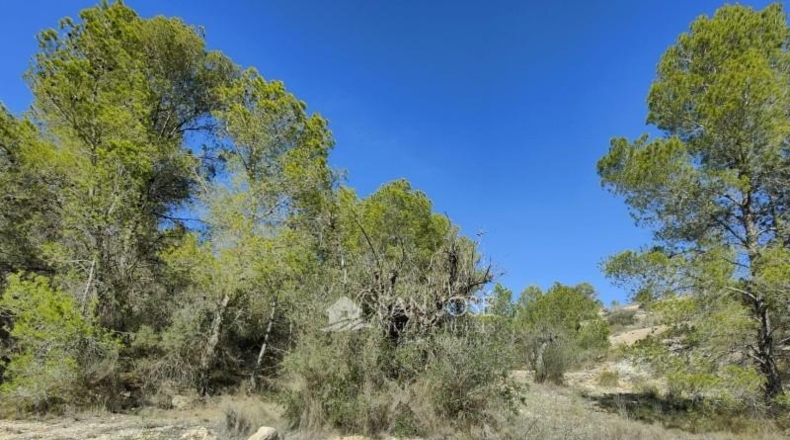 Alicante - la Romana - 33144m2