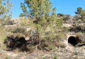 Terreny no urbanitzable en venda a la España, la Romana, ref.: TR381514 foto