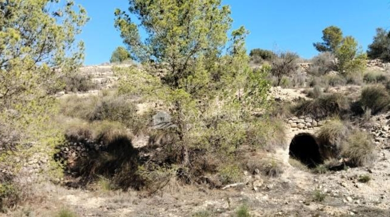 Alicante - la Romana - 33144m2