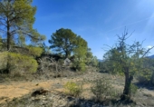 Terreny no urbanitzable en venda a la España, la Romana, ref.: TR381514 foto