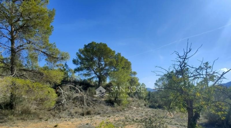 Alicante - la Romana - 33144m2