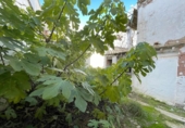 Casa de pueblo en venta en la España, Castellar, ref: TR303439 foto